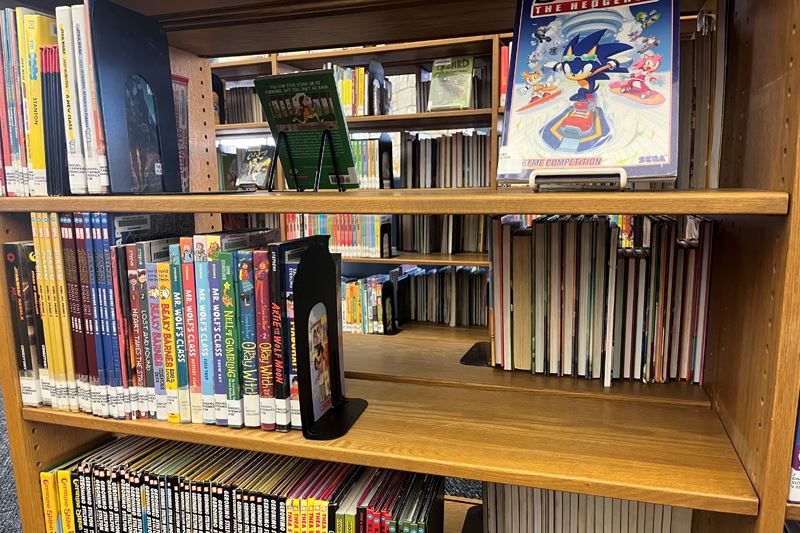 A bookshelf of juvenile graphic novels including Sonic the Hedgehog and many colorful book covers