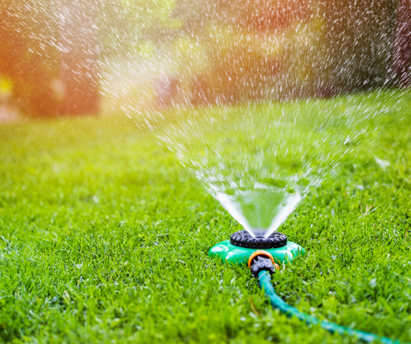 A hose-end sprinkler on a bright green lawn.