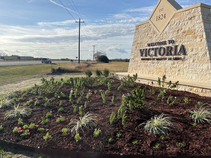 A limestone welcome sign with a large flowerbed in front with many small plants