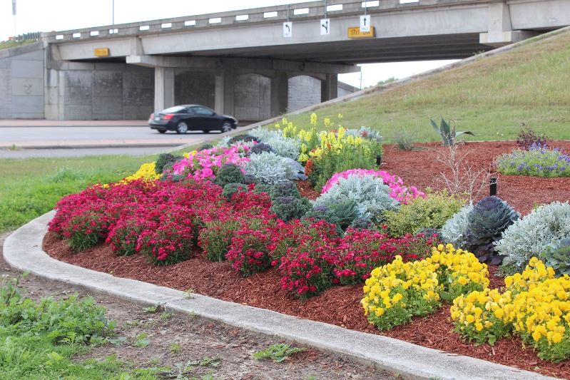 Flowerbed on Loop 463 at Navarro overpass