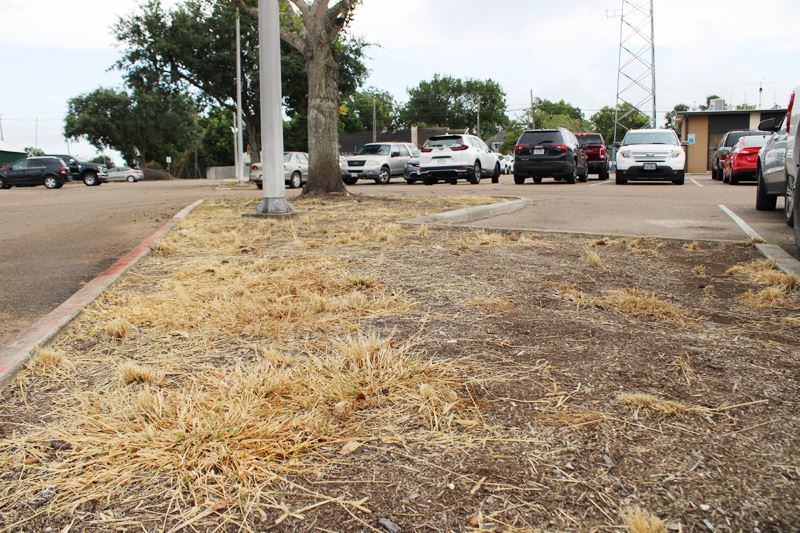 A traffic island with dirt and dead grass