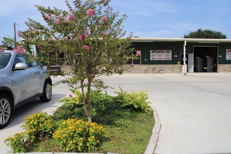 A flowerbed with a flowering tree and smaller plants in front of a store