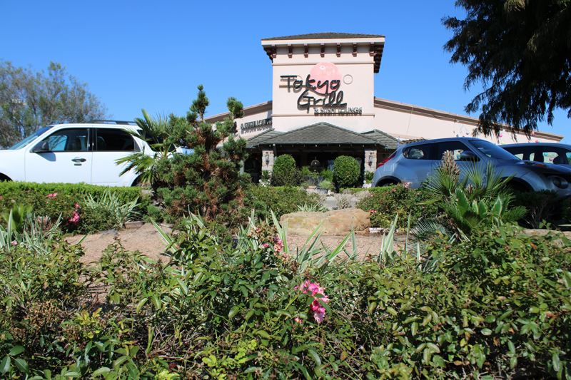Shrubs, hardy plants and rock landscaping fill a flowerbed in the Tokyo Grill parking lot.