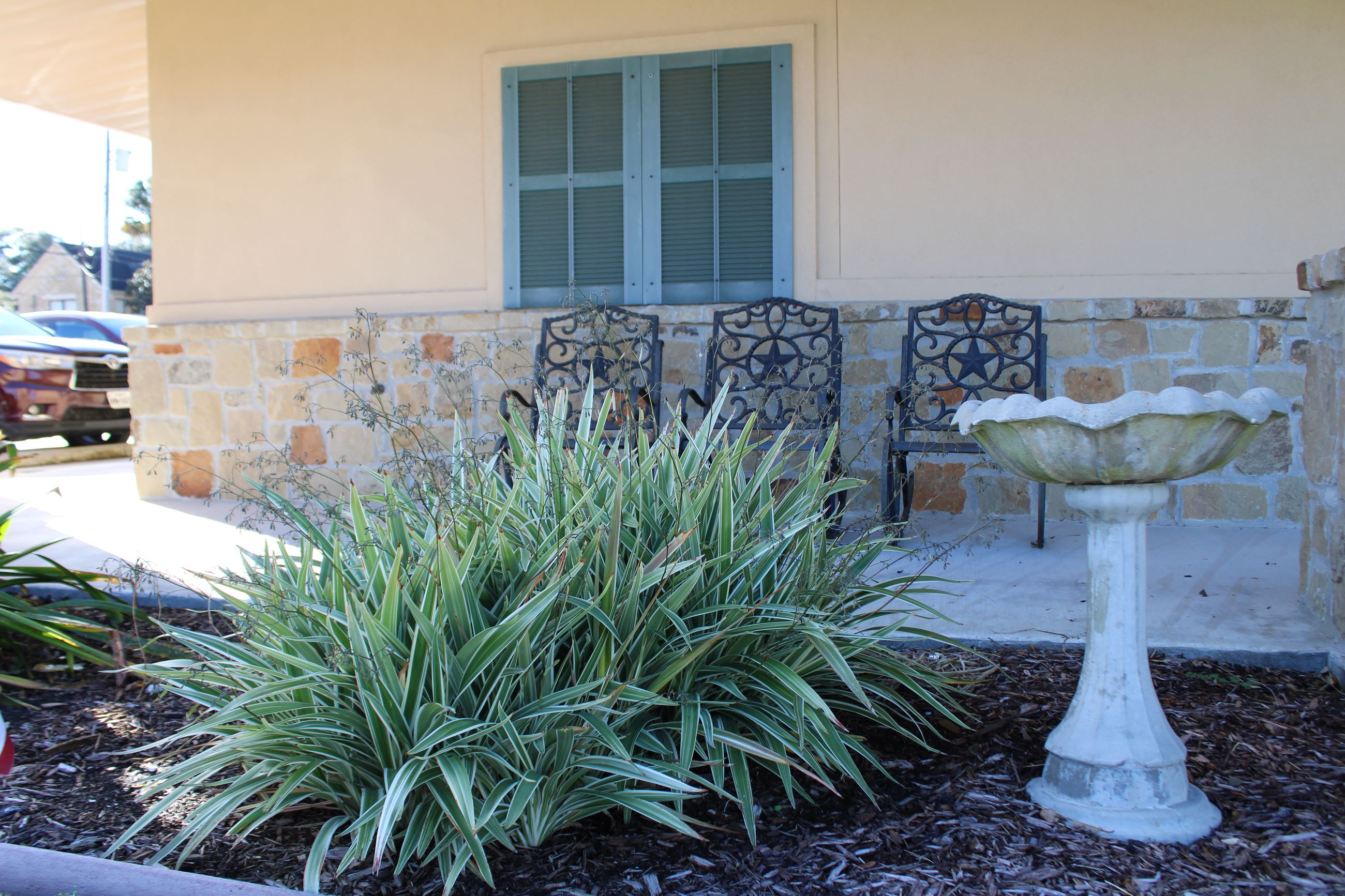 Three wrought-iron chairs on a patio with decorative plants in foreground