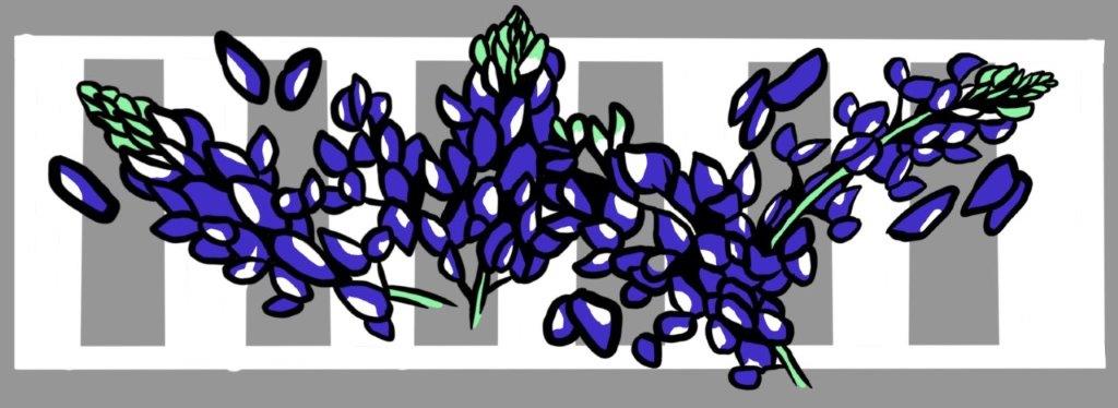 Painted crosswalk design featuring bluebonnets