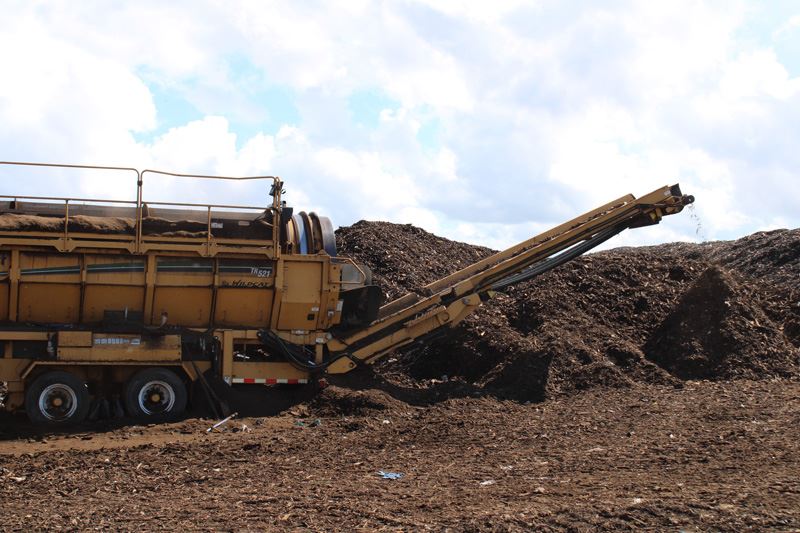 A large yellow machine with a long conveyor belt spills wood chips onto a pile